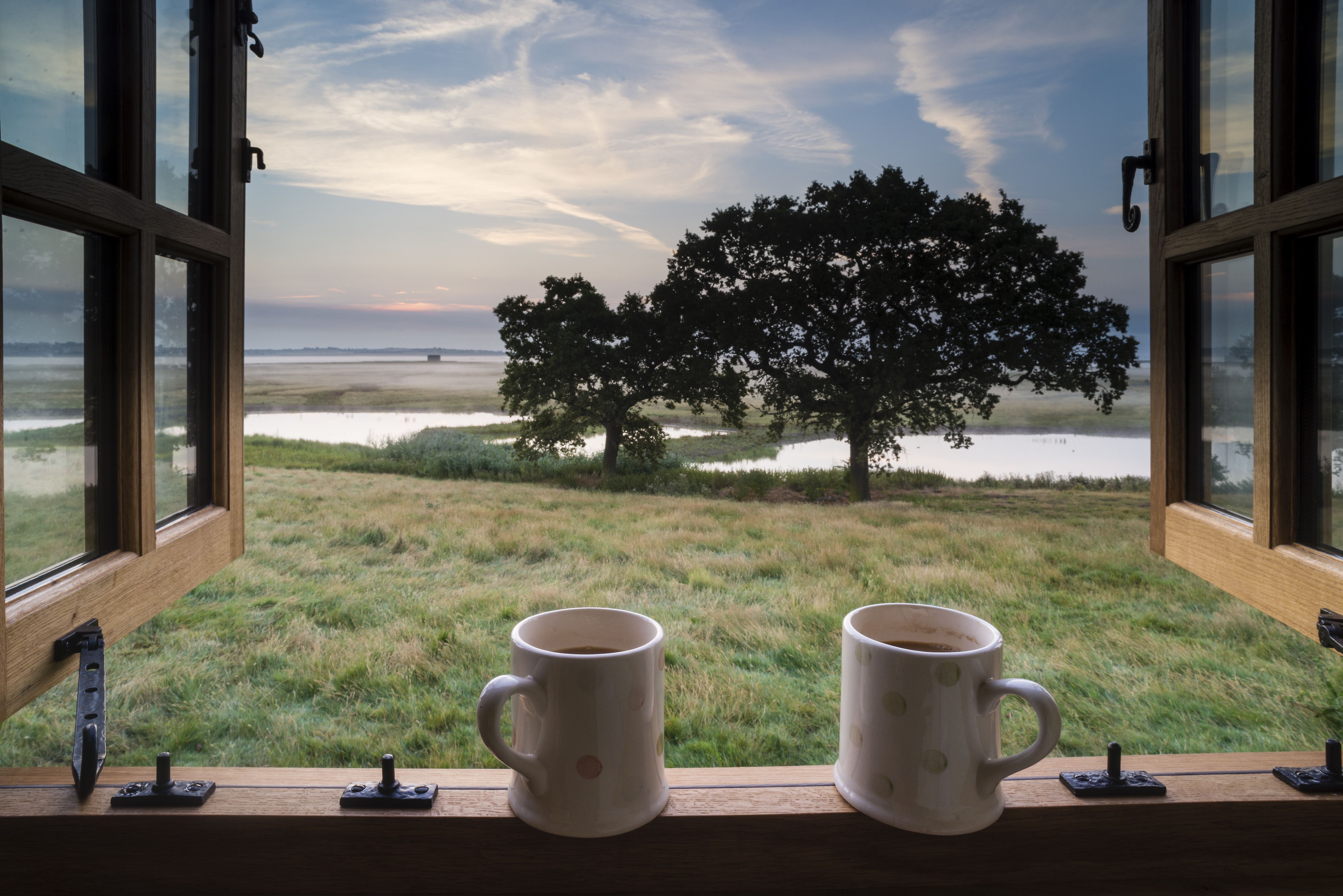 Little Owl view from bed with mugs - Elmley Nature Reserve.jpg (1)