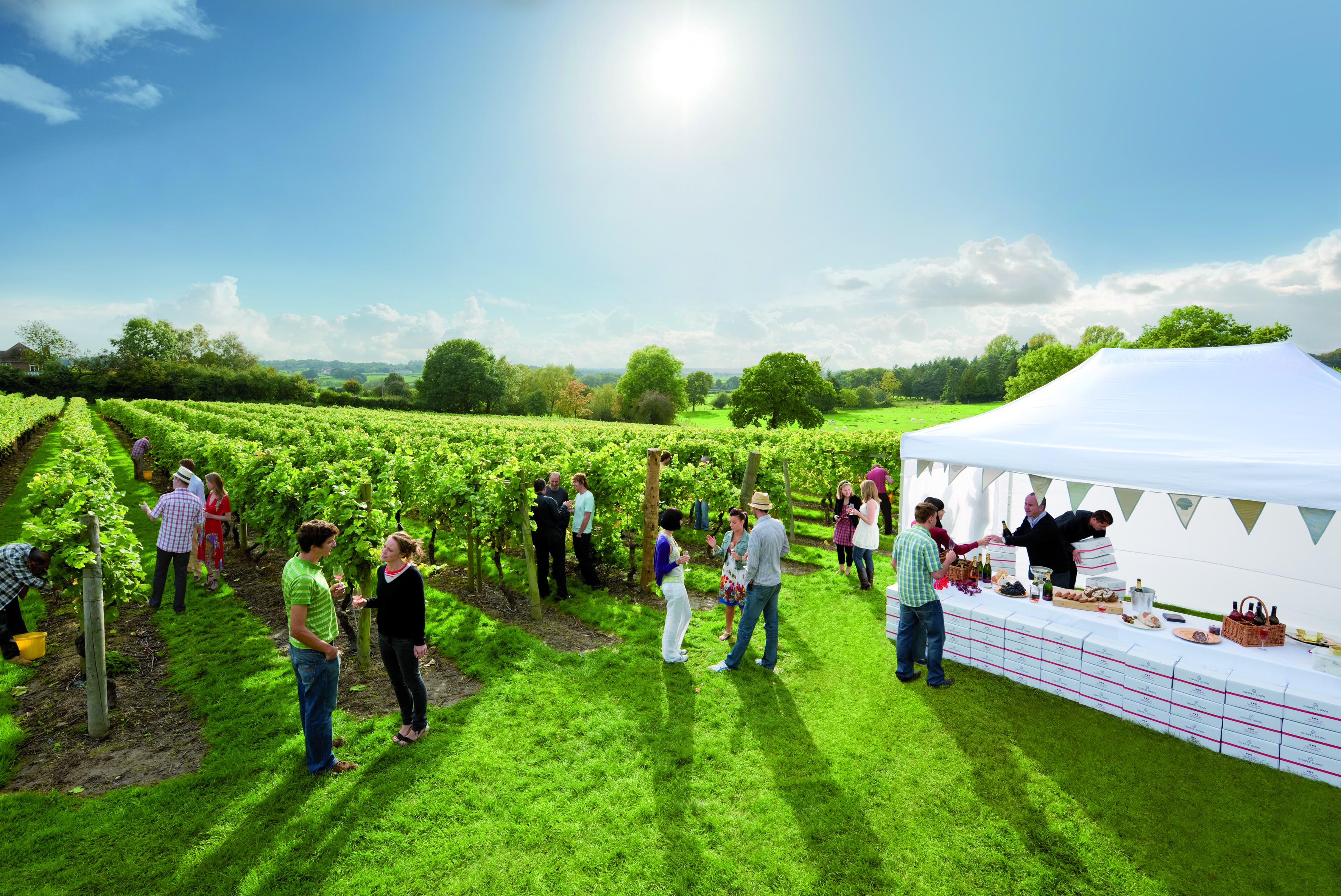 Chapeldown Landscape MEDIUM