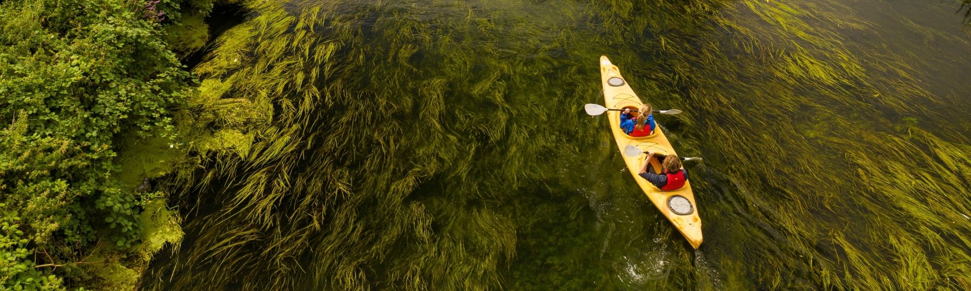 Digital Nomad Banner